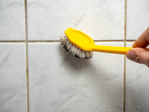 Best Home Mold Removal  in Las Vegas, NV