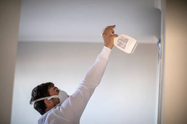 Best Professional Mold Removal  in Las Vegas, NV