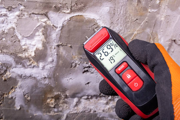 Best Mold Damage Repair  in Las Vegas, NV