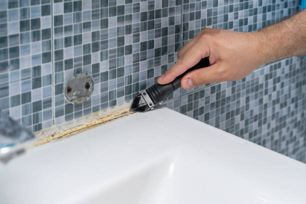 Best Mold Removal Company Near Me  in Las Vegas, NV